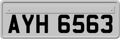 AYH6563