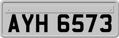 AYH6573