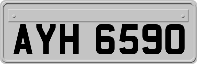 AYH6590