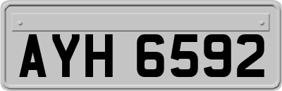 AYH6592