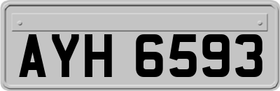 AYH6593