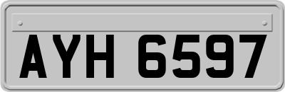 AYH6597