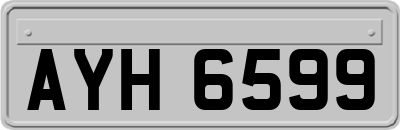 AYH6599