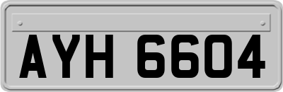 AYH6604