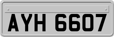 AYH6607