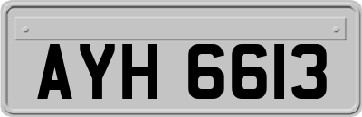 AYH6613