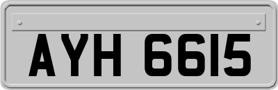 AYH6615