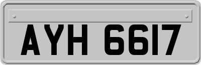 AYH6617