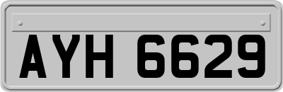AYH6629