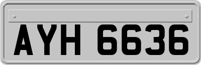 AYH6636