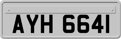 AYH6641