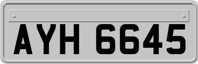 AYH6645