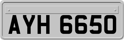AYH6650