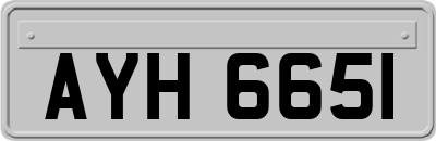 AYH6651