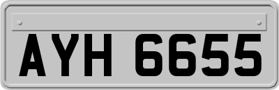 AYH6655