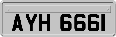 AYH6661