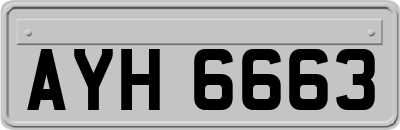 AYH6663