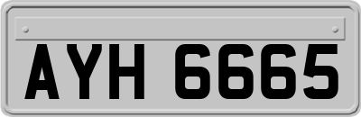 AYH6665