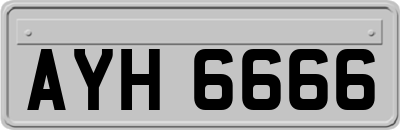 AYH6666