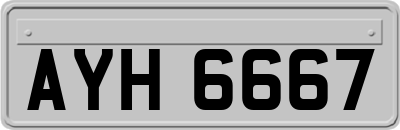 AYH6667