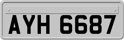 AYH6687