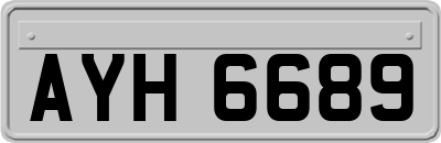 AYH6689