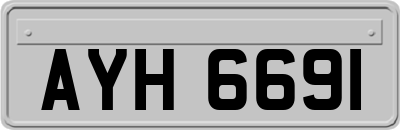 AYH6691