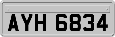 AYH6834