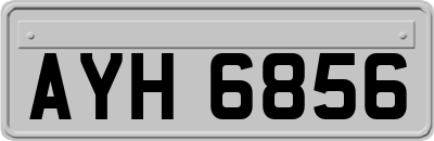 AYH6856