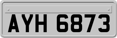 AYH6873