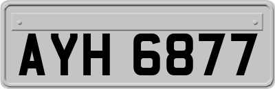 AYH6877