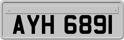 AYH6891
