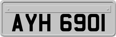 AYH6901