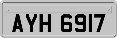 AYH6917