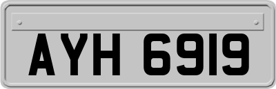 AYH6919