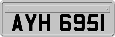 AYH6951