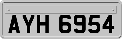 AYH6954