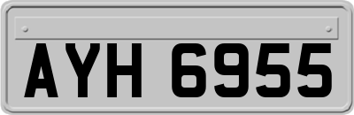 AYH6955