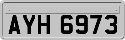 AYH6973