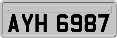 AYH6987