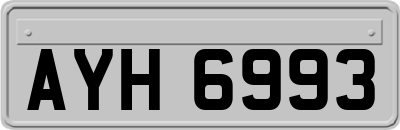 AYH6993
