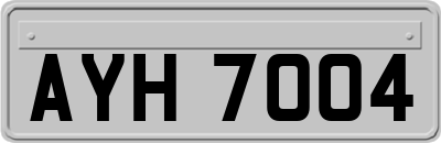 AYH7004