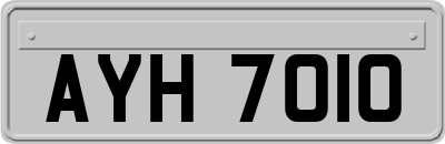 AYH7010