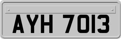 AYH7013