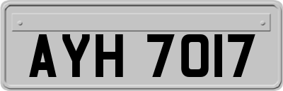 AYH7017