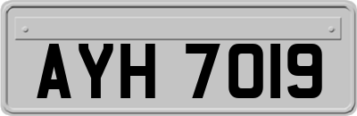 AYH7019
