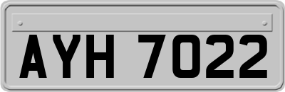 AYH7022