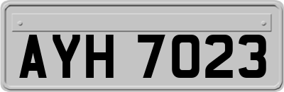 AYH7023