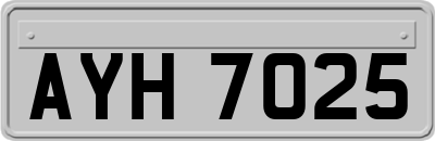 AYH7025
