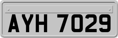 AYH7029